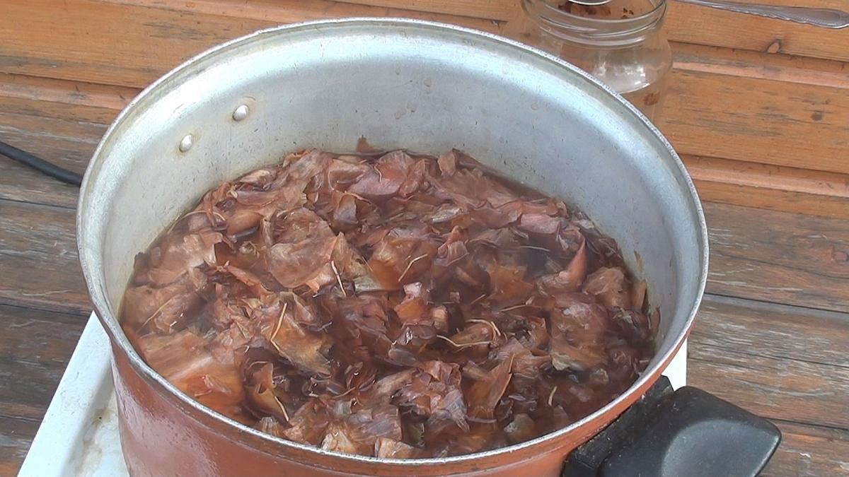 Паутинный клещ, что делать и как спасти урожай?
