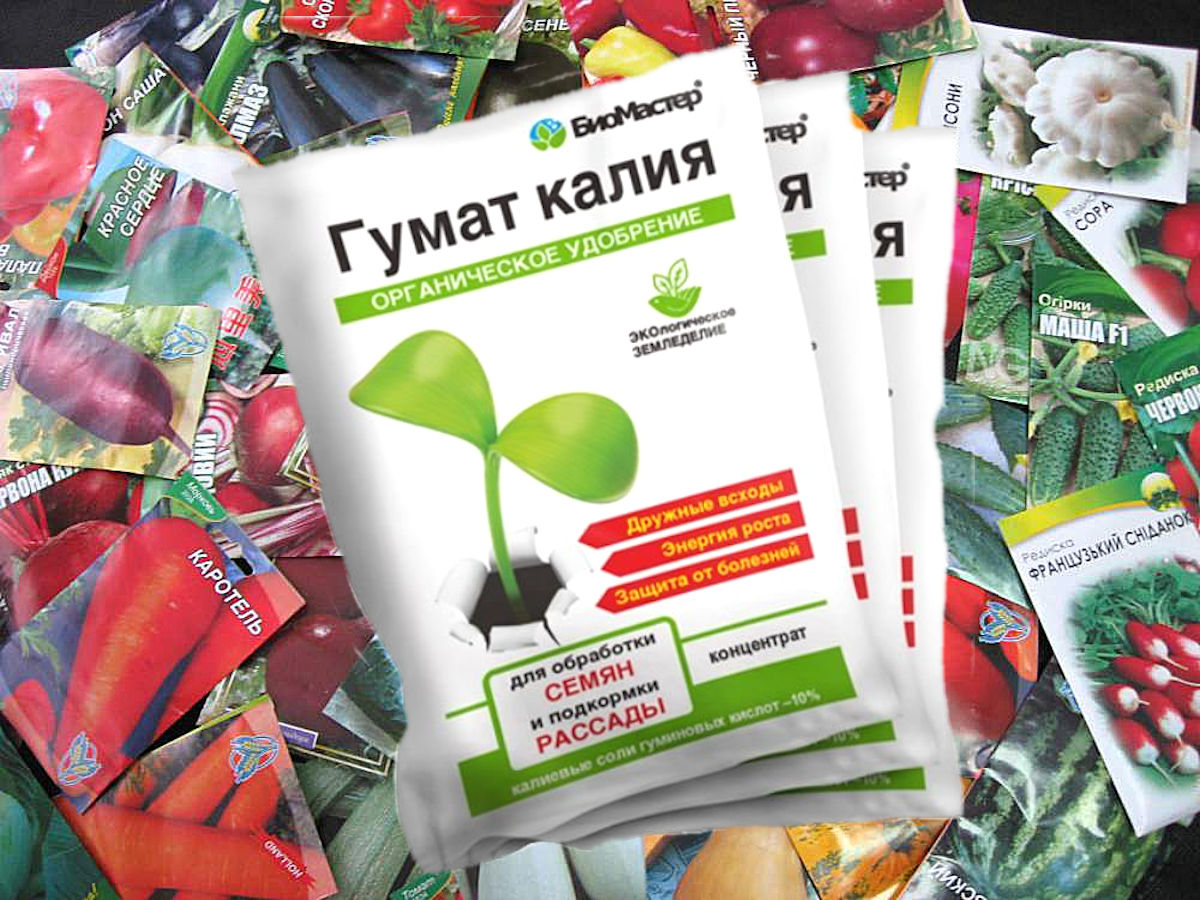 Как повысить всхожесть и прорастание семян, практические советы