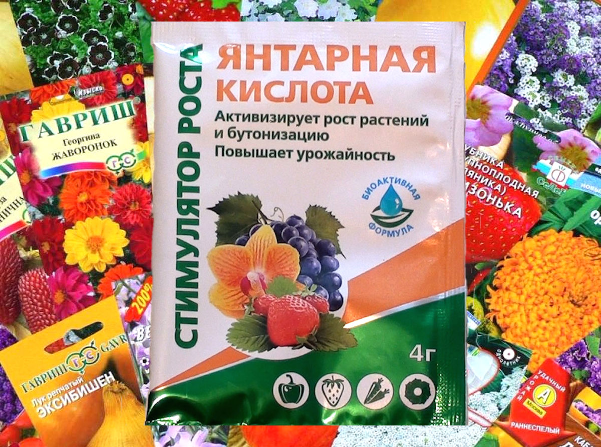 Как повысить всхожесть и прорастание семян